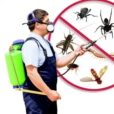 pest control Garfield Heights